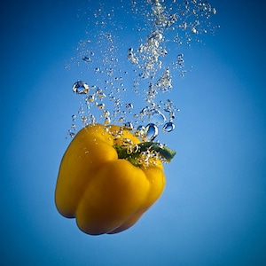 Yellow Jacket Sugar Bell- Pepper