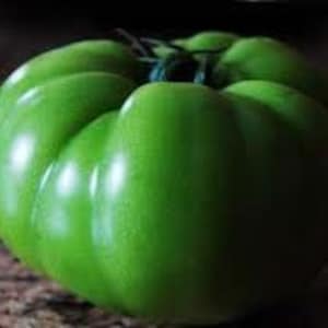 TORNATE DI NUOVO! Pomodoro Malakhitovaya Shkatulka