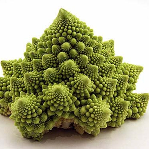 Breaking Physics Cauliflower