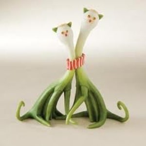 Organic Green Onions/ Scallions