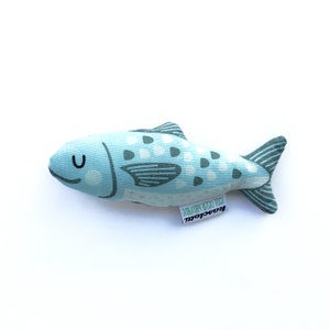 Baby rattle fish