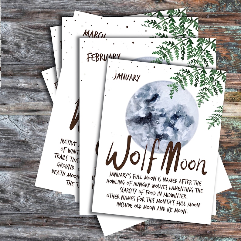 Moon Cycle Calendar 2023 Printable Etsy