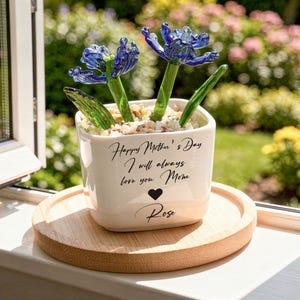 Plante en pot en verre soufflé à la main, Fleur de naissance en pot en verre, Fleurs en verre faites à la main, Vitrail, Décoration d'intérieur, Cadeau de pendaison de crémaillère, Cadeau pour maman