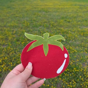 May include: A red felt tomato-shaped coaster with a green stem and leaves. The coaster has a white accent and a stitched border. The handmade coaster is held in front of a grassy background.