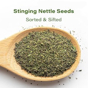 May include: A wooden spoon filled with green stinging nettle seeds. The text "Stinging Nettle Seeds Sorted & Sifted" is displayed in green above the seeds. The seeds are a mix of green and brown.