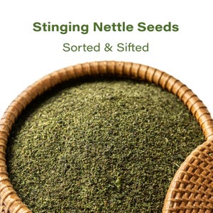 Stinging Nettle Seeds for Herbal Tea & Infusions - Natural Whole Dried Seeds - Urtica Dioica - Bulk Loose Herb