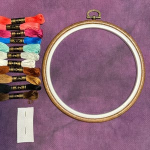 May include: A cross-stitch kit with a wooden embroidery hoop, colorful embroidery floss in shades of red, pink, blue, green, brown, and black, and a piece of white Aida cloth. The hoop is approximately 6 inches in diameter.
