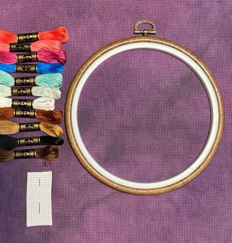 May include: A cross-stitch kit with a wooden embroidery hoop, colorful embroidery floss in shades of red, pink, blue, green, brown, and black, and a piece of white Aida cloth. The hoop is approximately 6 inches in diameter.