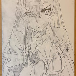 Esdeath Canvas