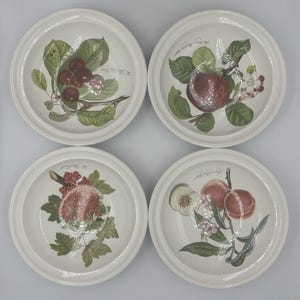 Portmeirion Pomona 8,5 ”Suppennudelschüsseln 4er-Set – Kirsche, Apfel, Pfirsich, Johannisbeere