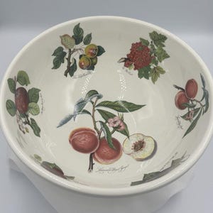 Vintage Portmeirion Pomona Göttin der Frucht 11 ”Rührschüssel Seltenes Sechs-Früchte-Design