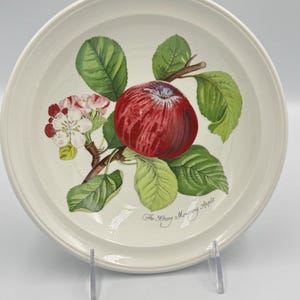 Portmeirion Pomona Suppennudelschüssel mit Rand - Hoary Morning Apple - England