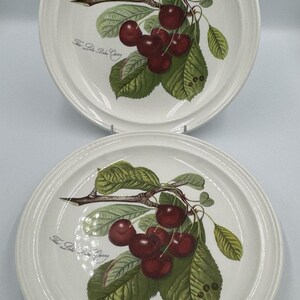 &quot;2 Vintage Portmeirion &quot;&quot;LateDuke Cherry&quot;&quot; Speiseteller 26 cm - Set&quot;