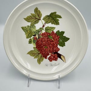 Portmeirion Pomona „Die rote Johannisbeere“ 26 cm großer Speiseteller – Vintage England