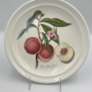 &quot;Vintage Portmeirion Pomona &quot;&quot;Grimwood&#39;s Royal George Peach&quot;&quot; Speiseteller 10,5&quot;&quot;