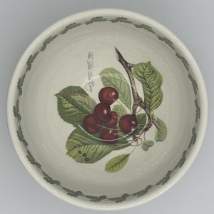 Vintage Portmeirion Pomona Göttin der Früchte 8 ”Rührschüssel - Multi-Fruit Design
