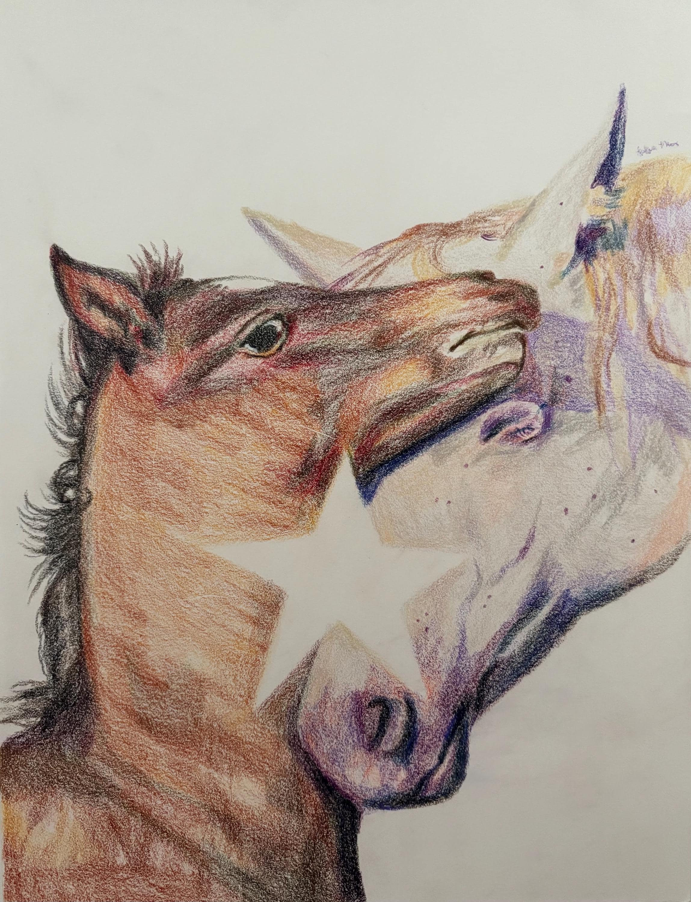 Horse Star Print - Etsy