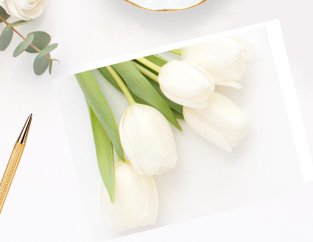 Tulips Note White Tulip Note Cards - Etsy