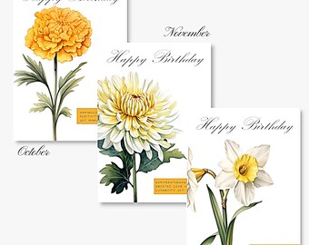 Birthday Month Flower Greeting Card Set /October/November/December/Marigold, Chrysanthemum, Narcissus