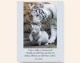 Mother's Day Greeting Card/Photo Card/White Tiger and Cub