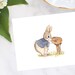 Peter Rabbit Style Note Cards/peter Rabbit at Mailbox/10 Note Set - Etsy