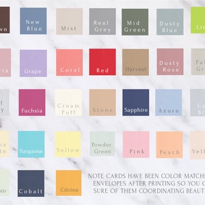 Spring Bluebird Note Cards/bluebird Notes/set of 10 Notes - Etsy