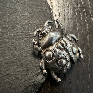 May include: A silver-toned beetle brooch with a textured surface and raised spots. The brooch is on a dark grey background.