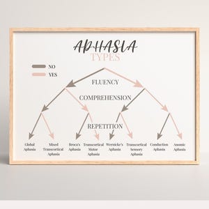May include: A framed print with the title "APHASIA TYPES" in a decorative font. The diagram uses arrows and color-coding to illustrate different types of aphasia, including Global, Broca's, and Wernicke's aphasia.