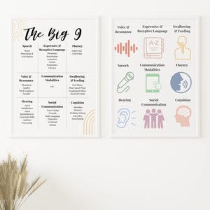 May include: Two framed posters detailing speech therapy concepts. The left poster, titled "The Big 9", lists categories including Speech, Fluency, and Social Communication. The right poster features icons and categories like Voice & Resonance, Expressive & Receptive Language, and Cognition.