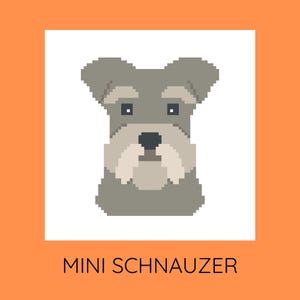 Mini Schnauzer Needlepoint Pattern, Dog Portrait, Beginner Friendly (PDF Download)