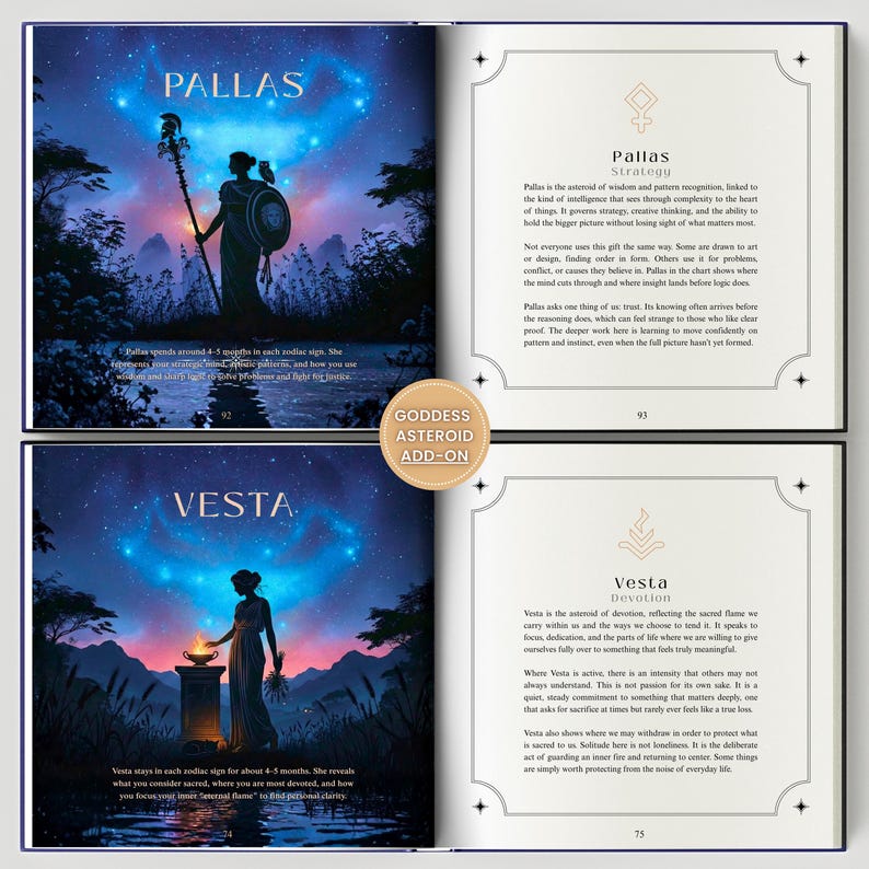 Birth Chart Astrology Reading, Personalized Natal Chart, Custom Birth Chart Analysis, Sun Sign Natal Gift, Hardcover Zodiac Book, 100+ Pages