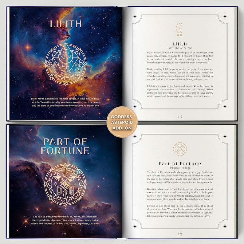 Birth Chart Astrology Reading, Personalized Natal Chart, Custom Birth Chart Analysis, Sun Sign Natal Gift, Hardcover Zodiac Book, 100+ Pages