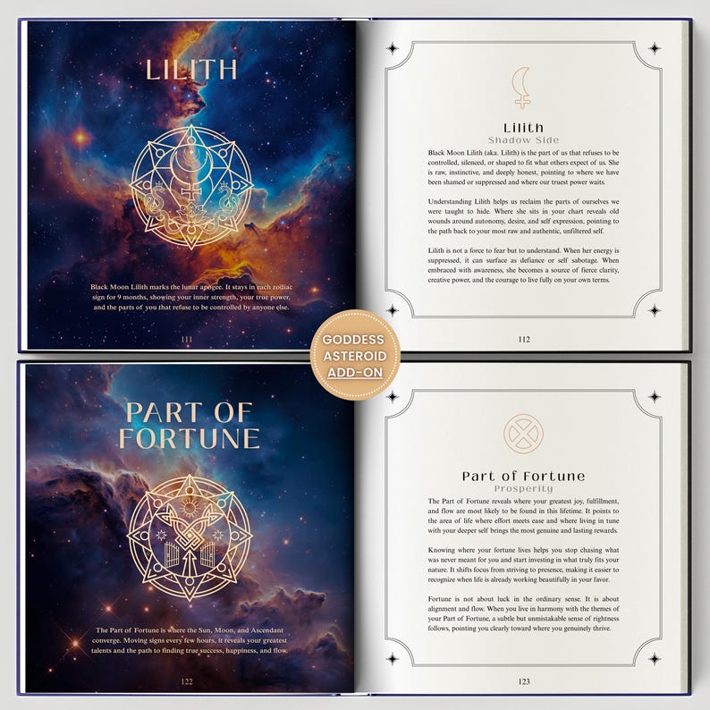 Birth Chart Astrology Reading, Personalized Natal Chart, Custom Birth Chart Analysis, Sun Sign Natal Gift, Hardcover Zodiac Book, 100+ Pages