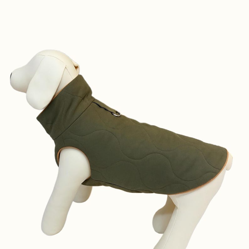May include: Olive green quilted dog jacket with a high collar and a zipper closure. The jacket has a light brown trim along the edges and is designed to fit a dog's body shape. The jacket is displayed on a white mannequin dog.