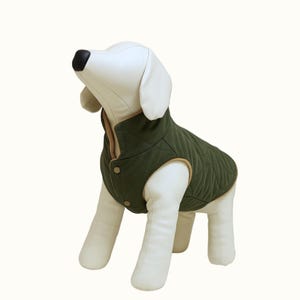 May include: A quilted olive green dog vest with a brown collar and trim. The vest has a button closure and a diamond pattern. The dog vest is designed to keep your dog warm and comfortable.