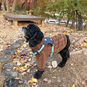 Dog Fleece Turtleneck Sewing Pattern | Cozy Pet Sweater PDF | DIY Dog Clothes (XS–3XL) image 6