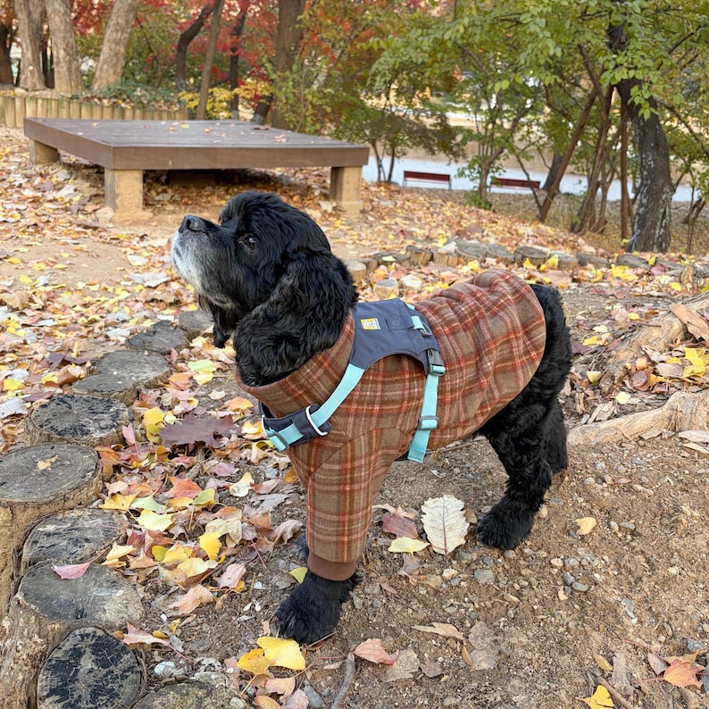Dog Fleece Turtleneck Sewing Pattern | Cozy Pet Sweater PDF | DIY Dog Clothes (XS–3XL) image 6