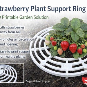 Op de afbeelding: Een witte, 3D-geprinte aardbeienplantsteunring. De ring ondersteunt een aardbeienplant met rode en groene bessen. Tekst luidt "Strawberry Plant Support Ring" en "3D Printable Garden Solution."