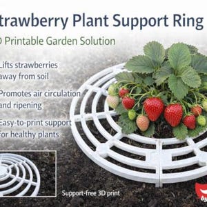 Può includere: Un anello di supporto per piante di fragole bianco, stampato in 3D, circonda una pianta di fragole con fragole rosse e verdi. Il testo recita "Strawberry Plant Support Ring" e "3D Printable Garden Solution".