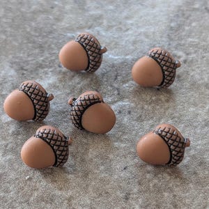 May include: A set of six small acorn-shaped buttons. Each button features a smooth, light brown nut portion and a textured, dark brown cap with a cross-hatched grid pattern. The buttons are arranged in a scattered formation on a textured surface.