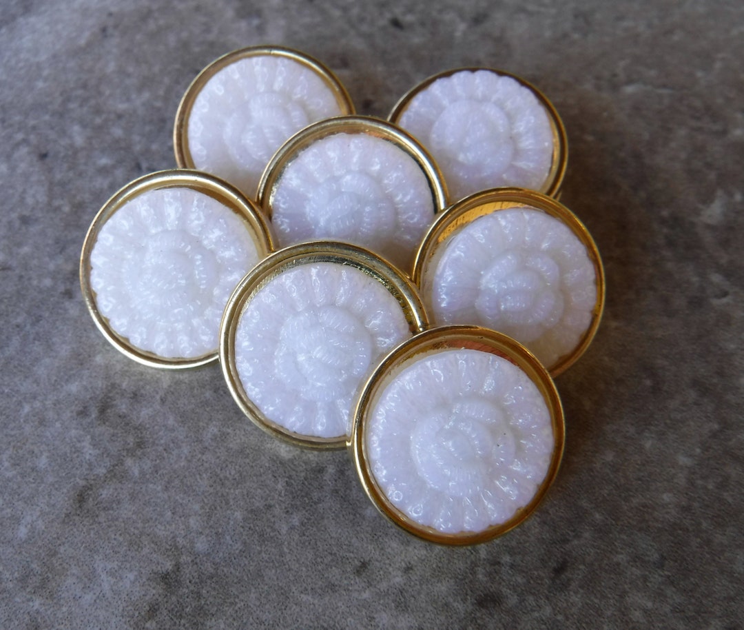 7 Gold and White Snail Shell Round Shank Buttons Size 11/16" - Etsy
