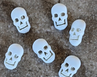 6 Skeleton Head Skull Shank Buttons Size 7/16"