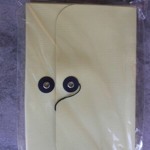 May include: A yellow accordion keeper with two black eyelets and a black string. The keeper is made of paper and has the text "bazill accordion keeper" printed on the front.