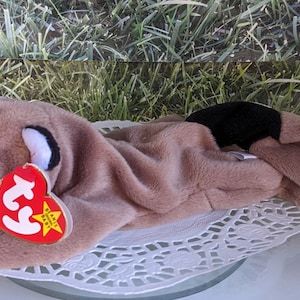 Ringo the Raccoon Beanie Babies Vintage TY 1995 with Original Tags