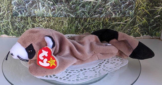 Raccoon beanie baby value outlet