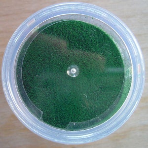 May include: A clear plastic container filled with green glitter.