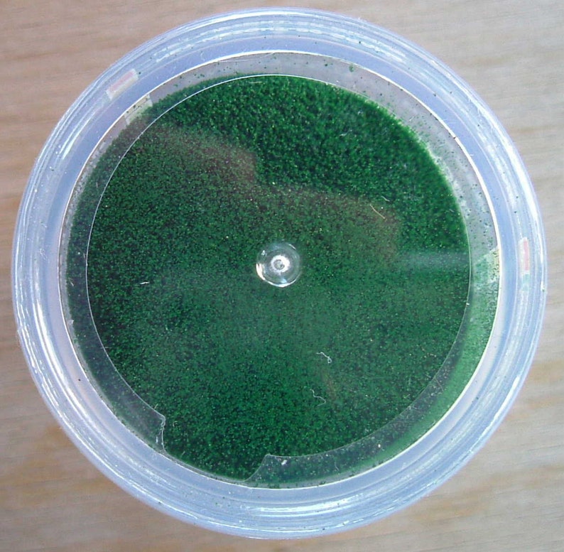May include: A clear plastic container filled with green glitter.