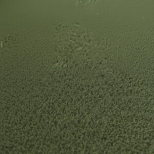 May include: Close-up of a textured, olive green surface. The surface has a dense, slightly raised pattern, resembling a field of tiny, closely packed fibers. The color is a muted, earthy green.
