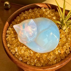 May include: A sleeping cat figurine made of opalescent stone rests in a wooden bowl filled with small, yellow-orange crystals. A small air plant adds a touch of green. The background is a warm yellow.