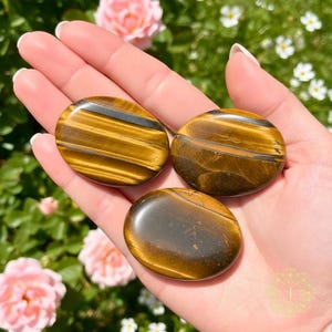 May include: Three polished tiger's eye stones, oval-shaped, are displayed. The stones have a golden-brown color with dark brown and black stripes. The stones are smooth and reflect light. The background includes pink roses and green foliage.